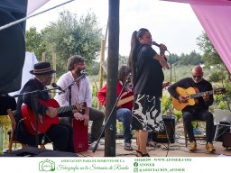 Festival Mar de Tethys 2026 - Bodega Vetas